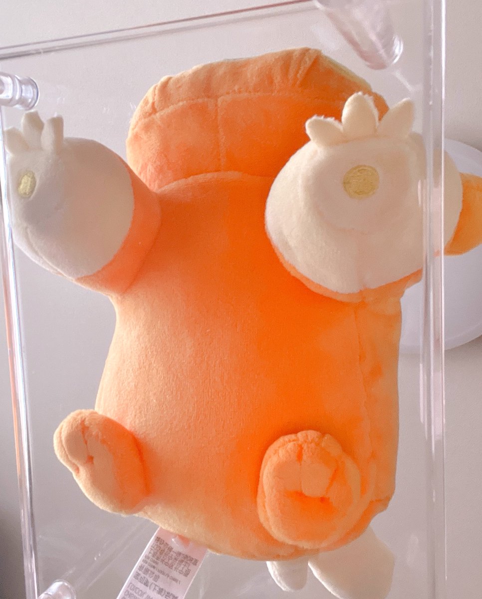 nokomacaron's tweet photo. 下からパモちゃんかわいいね🥰 https://t.co/jmSSGqyVZL