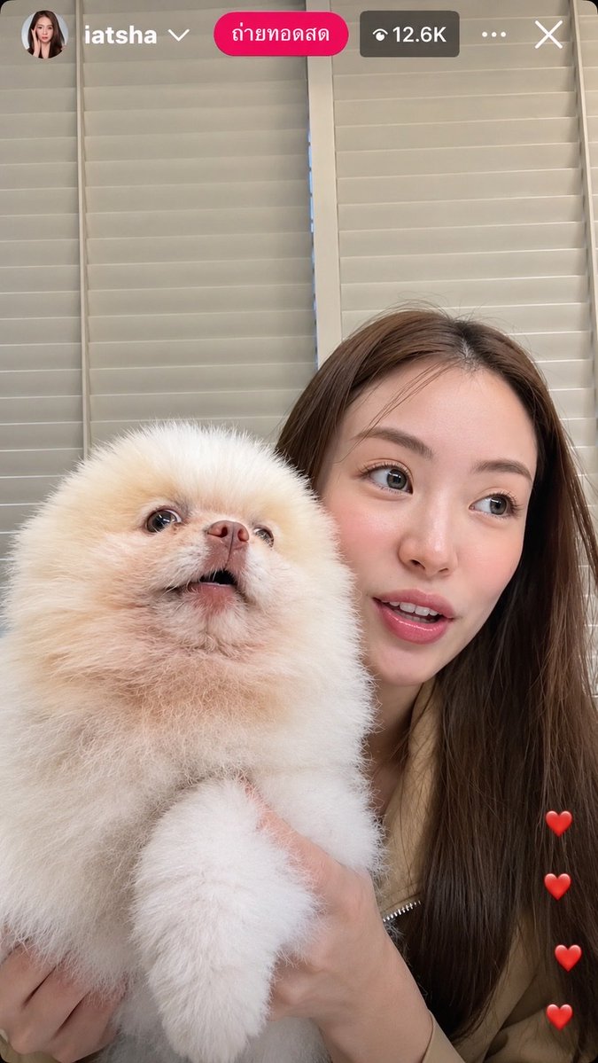 Alexnox_alex's tweet photo. จังหวะหันไปทางเดียวกันคือออ🤣
🐶🤏🏻อ้วมมมม///

#MiuNatcha #หมิวณัชชา https://t.co/fvcihg6C6m