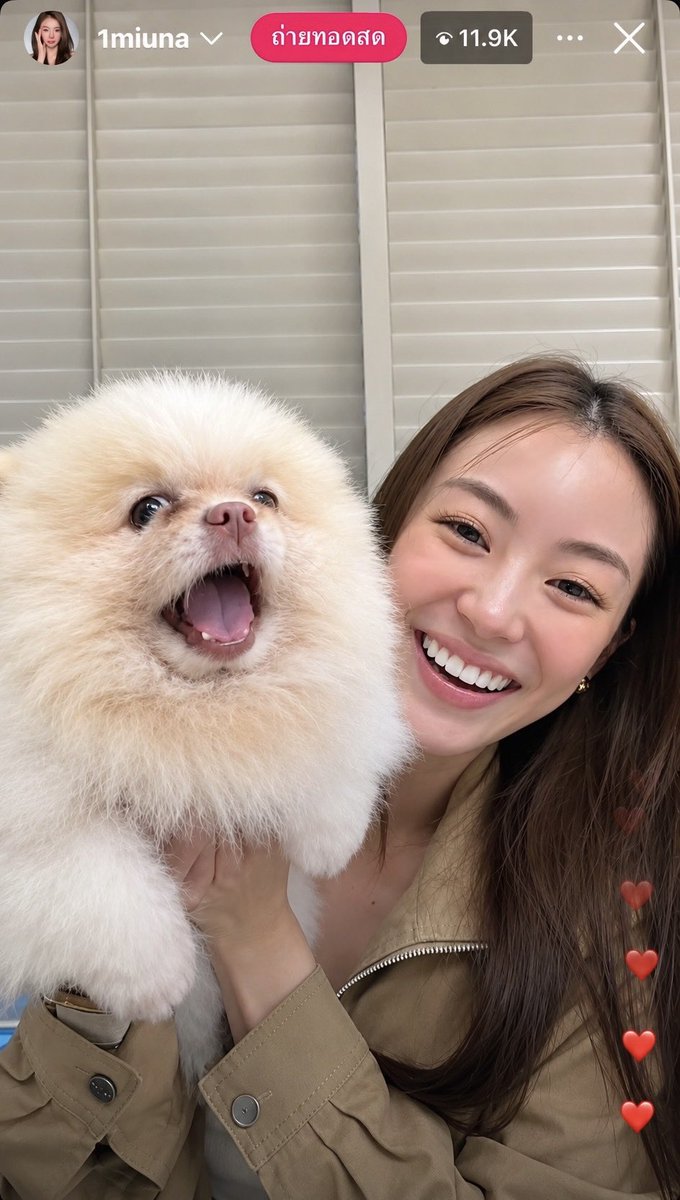 Alexnox_alex's tweet photo. จังหวะหันไปทางเดียวกันคือออ🤣
🐶🤏🏻อ้วมมมม///

#MiuNatcha #หมิวณัชชา https://t.co/fvcihg6C6m