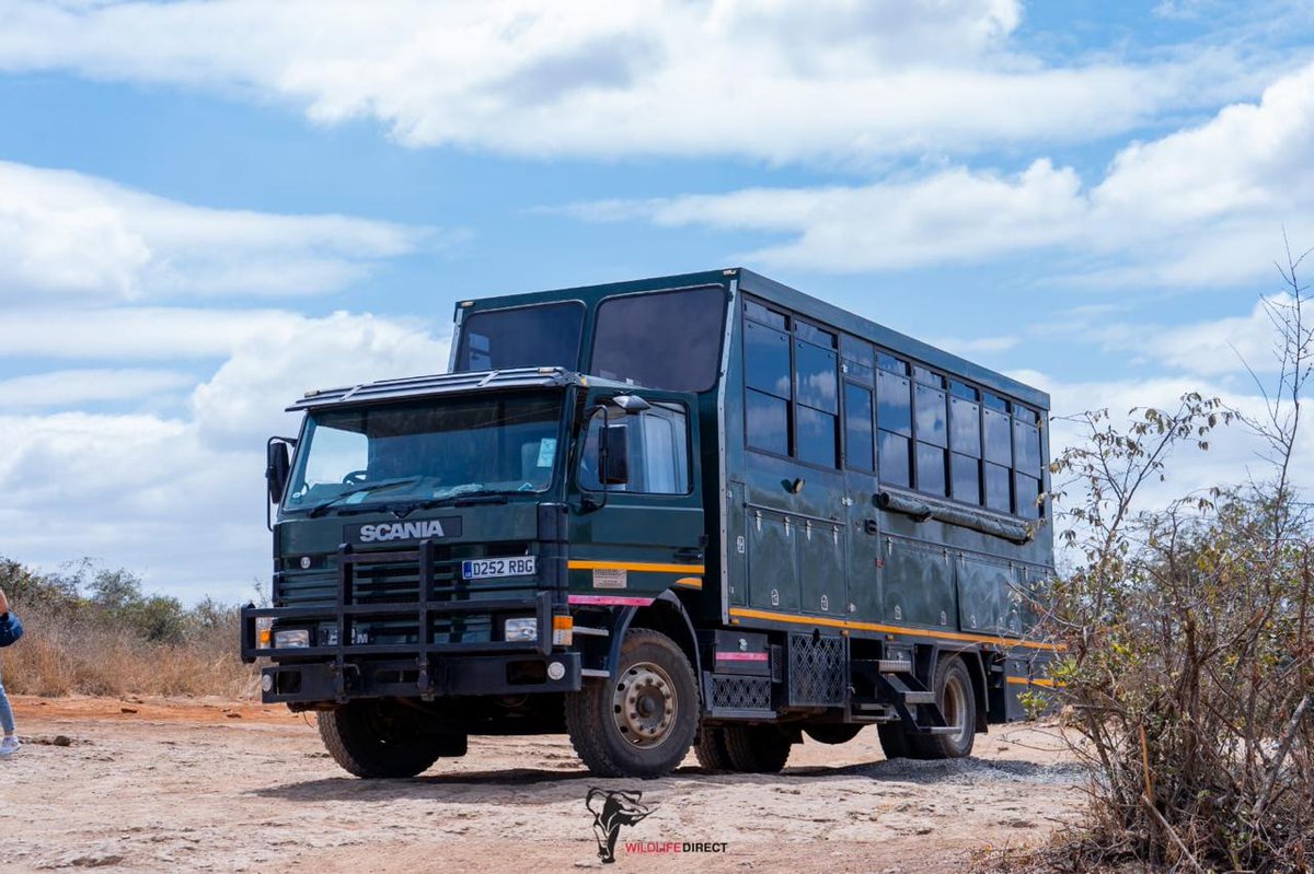 wildlifedirect's tweet photo. 👀 𝗦𝗻𝗲𝗮𝗸 𝗽𝗲𝗲𝗸 - Children aged 10-15 from Kajiado County, and university students from @multimedia_uni  and @africanazarene have been learning about wild animals and plants at the WildlifeDirect Field Lab for months - this weekend we put that knowledge to the test in our first participation in the Athi Kapiti Game Count: Binoculars, notebooks📒, field guides, and cameras all loaded 📸

Special thanks to @MMTrust for the best wheels in town🚛

#GameCount #CitizenScience #AthiKapiti @KWSKenya @paulakahumbu