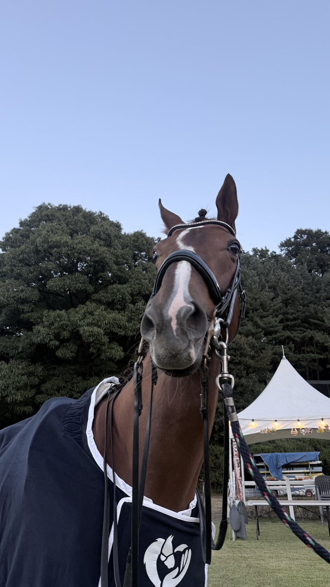 khorseracing's tweet photo. 델피니😍 https://t.co/Te3uIzKQcY