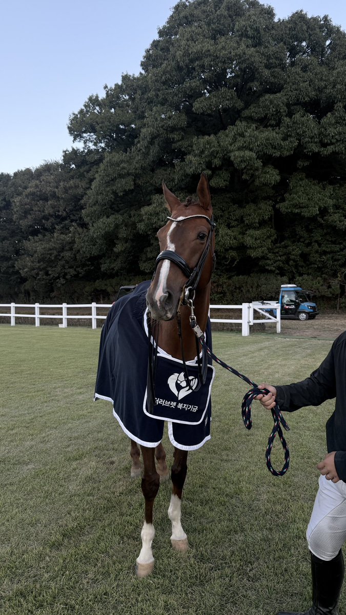 khorseracing's tweet photo. 델피니😍 https://t.co/Te3uIzKQcY