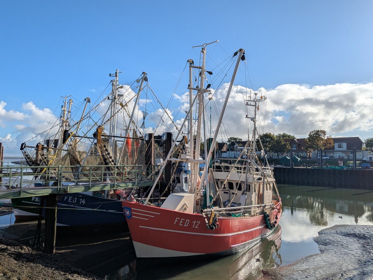 Nordwestroute's tweet photo. Moin aus Butjadingen.. #Fedderwardersiel #butjadingen #nordsee #wesermarsch #Burhave #tossens #eckwarderhörne #Ruhwarden https://t.co/7cPU2B2S9L