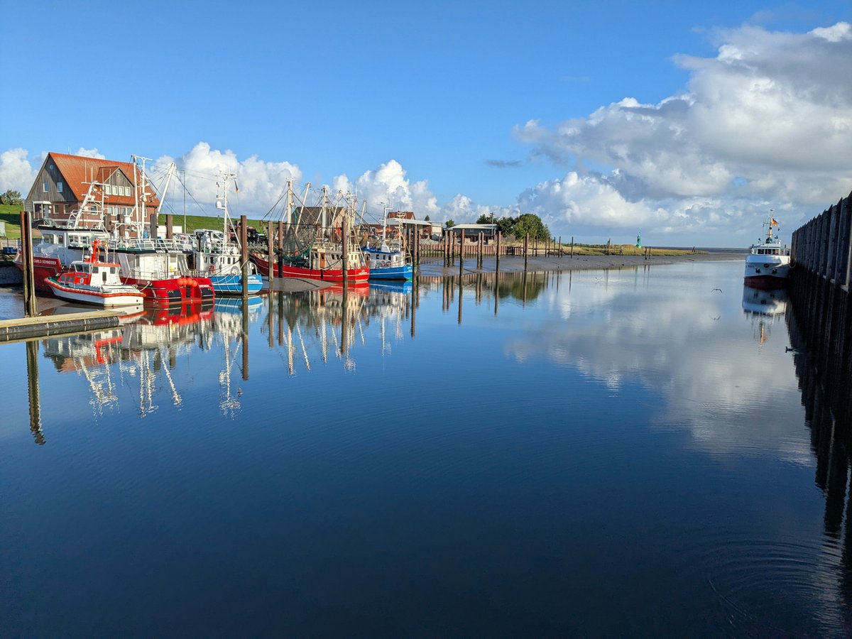 Nordwestroute's tweet photo. Moin aus Butjadingen.. #Fedderwardersiel #butjadingen #nordsee #wesermarsch #Burhave #tossens #eckwarderhörne #Ruhwarden https://t.co/7cPU2B2S9L
