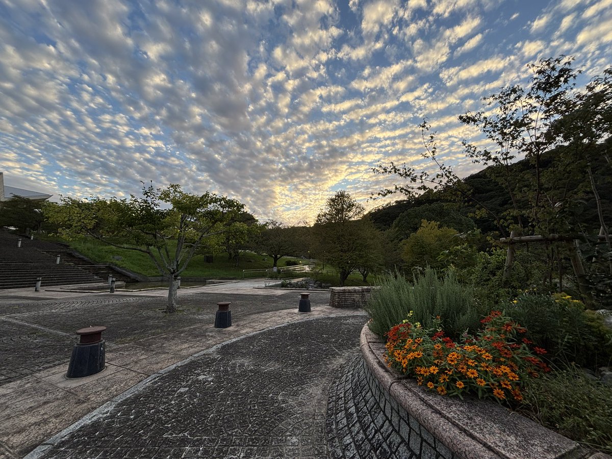 chuoh_park's tweet photo. 中央公園、秋の空。
どこから撮っても絵になります。
お気に入りの「秋の景色」探してみませんか？☺️🍁 https://t.co/6cxQSxmWfb