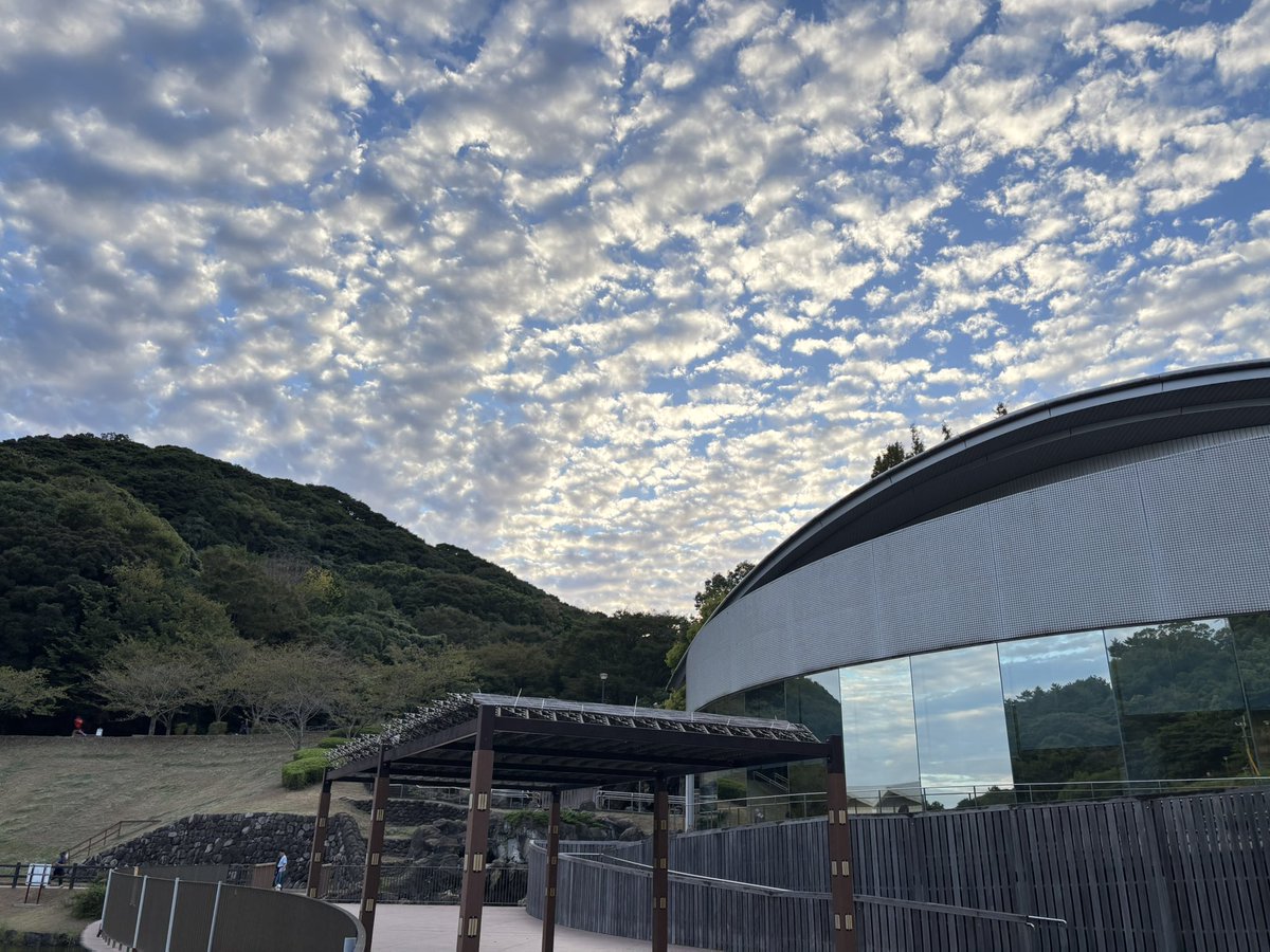 chuoh_park's tweet photo. 中央公園、秋の空。
どこから撮っても絵になります。
お気に入りの「秋の景色」探してみませんか？☺️🍁 https://t.co/6cxQSxmWfb