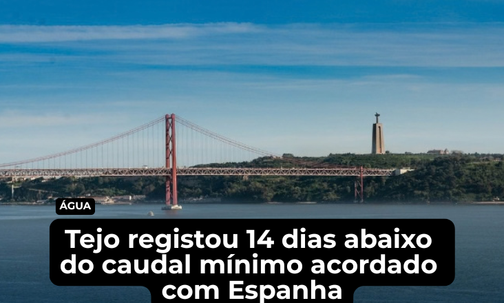 GrupoAboutMedia's tweet photo. 💧 Dois anos depois de Portugal e Espanha terem anunciado o fim dos dias de caudal zero no Tejo, o rio voltou a registar períodos abaixo do valor mínimo diário acordado.
💻https://t.co/kVecextvQZ
#ambiente #agua #rio #caudal #riotejo https://t.co/i1NYLjEh18