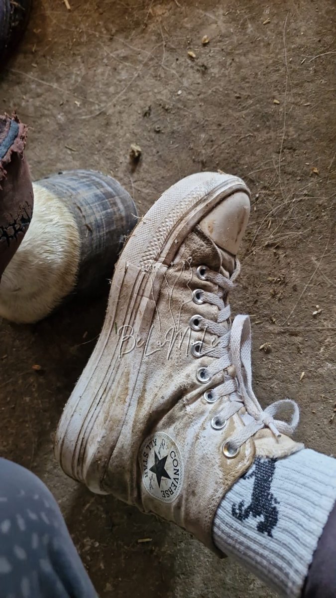 belumole's tweet photo. Unsere Chucks werden immer dreckiger und dreckiger… und um so dreckiger und stinkiger sie werden, um so mehr Geld willst du dafür bezahlen!

#socks #socken #fetish #femdom #findom #dirty #fetisch #fußfetisch 
#Stall #Pferdestall #dreckig #Reiterin #Reitsocken #Strümpfe #reiten https://t.co/bCgYpY5NEk