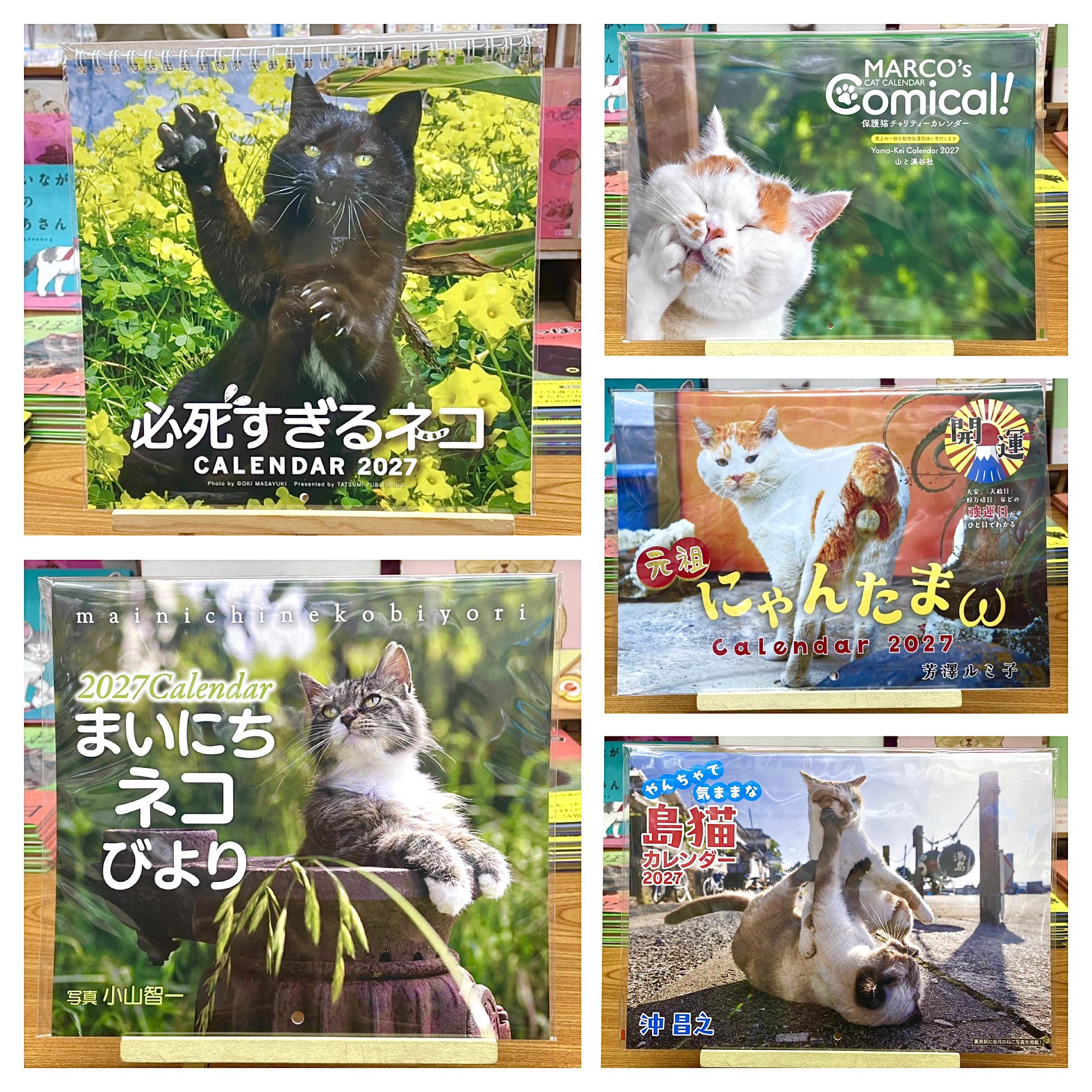 猫本専門 神保町にゃんこ堂_姉川書店 on X: 