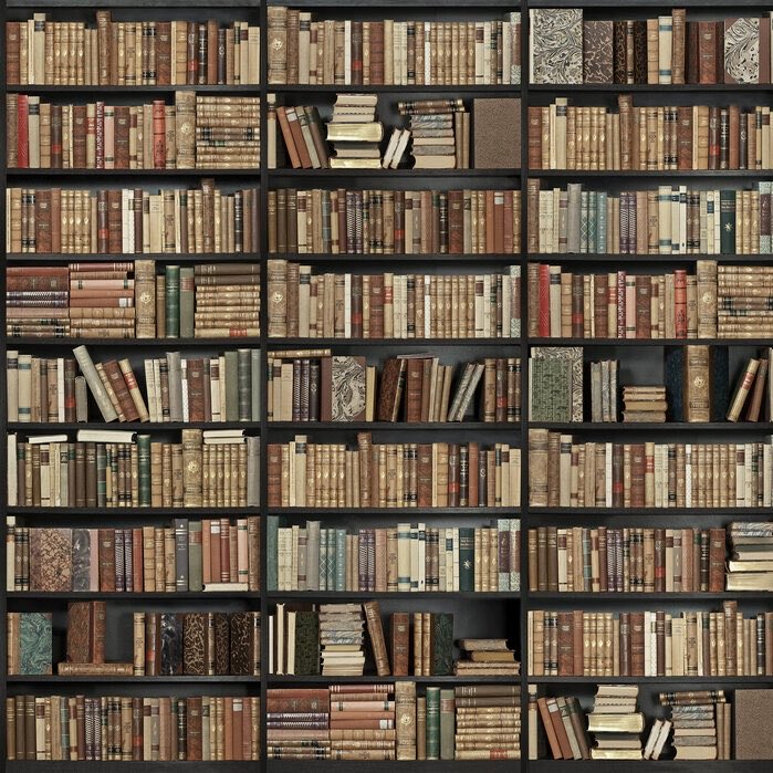 tunitowdc's tweet photo. 🚨| BREAKING: Follo Tunito was asked to put away some books and to reorganize the bookshelf. Unfortunately, he did a poor job. Tomme Mima has decided to take on this task in his place. https://t.co/ttEj9OjrbL
