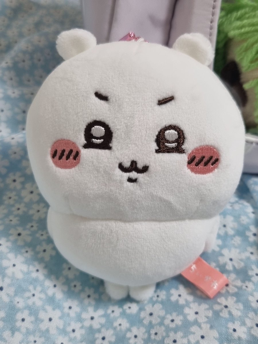 0w44wk's tweet photo. 우쭐치이 진짜 너무 귀여움ㅠㅠ
표정이며 팔을 몸에 딱 붙이고 서 있는 것까지 너무너무 귀여움 https://t.co/E8BwUWTUbC