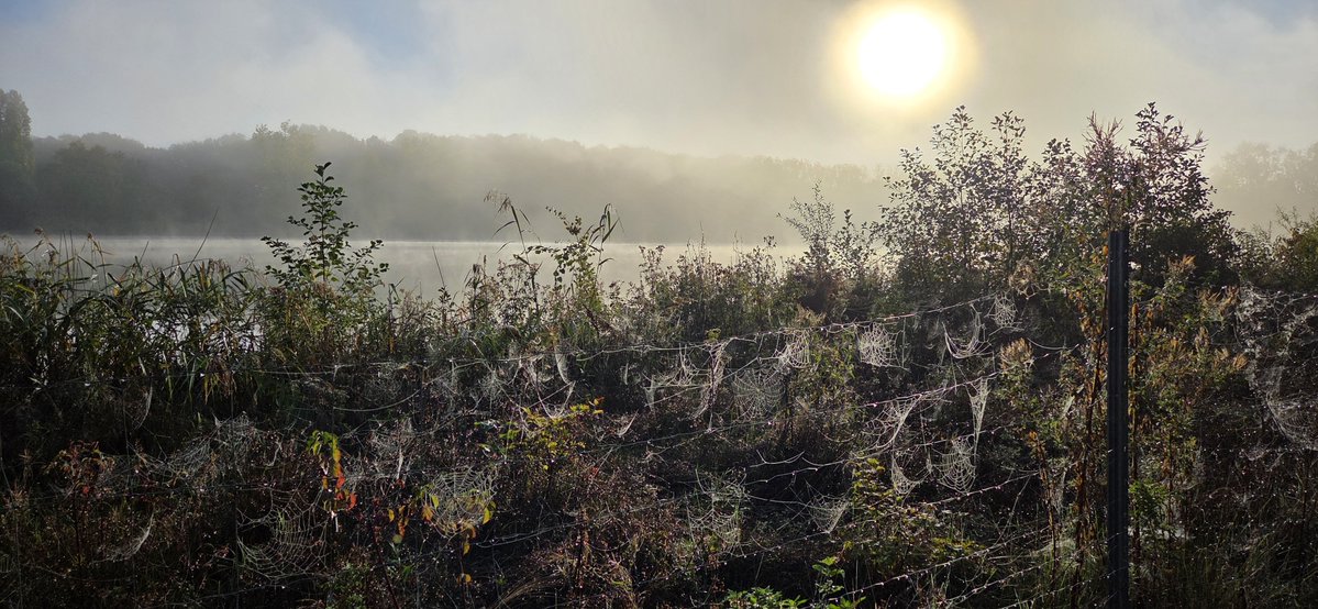 TeeJaneS's tweet photo. Der Morgen startete etwad unwirtlich, aber wunderschön. #ÜmmingerSee in #Bochum https://t.co/qb0vZOpuf5
