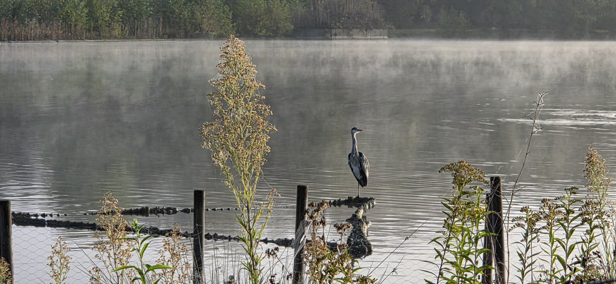 TeeJaneS's tweet photo. Der Morgen startete etwad unwirtlich, aber wunderschön. #ÜmmingerSee in #Bochum https://t.co/qb0vZOpuf5