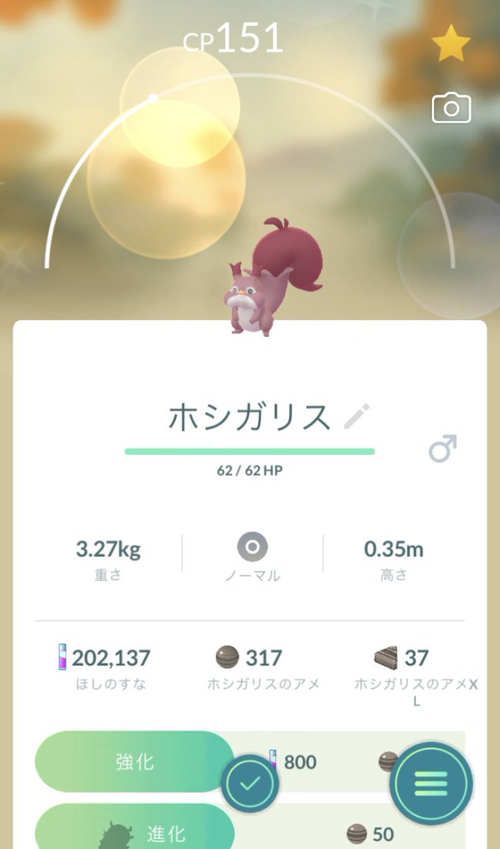 sb_munemune's tweet photo. 野生でホシガリスの色違い出た
急すぎてびっくりした
#ポケモンGO https://t.co/W7Ir0XWJ8u
