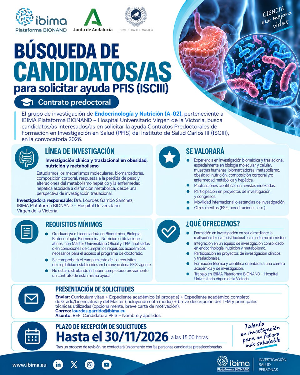 _ibima's tweet photo. 🔬 ¿Quieres hacer tu #TESISDOCTORAL con contrato #PFIS (@SaludISCIII )?

El grupo A-02 de #IBIMA / @HUVV_SAS busca candidatos/as para investigar en #Obesidad, #Nutrición y #Metabolismo. 🧬   

⏰ Hasta 30/11/2026 (15h)
📩 lourdes.garrido@ibima.eu

¡Toda la Info en la imagen! 👇🔛 https://t.co/m1MP6JFzhw