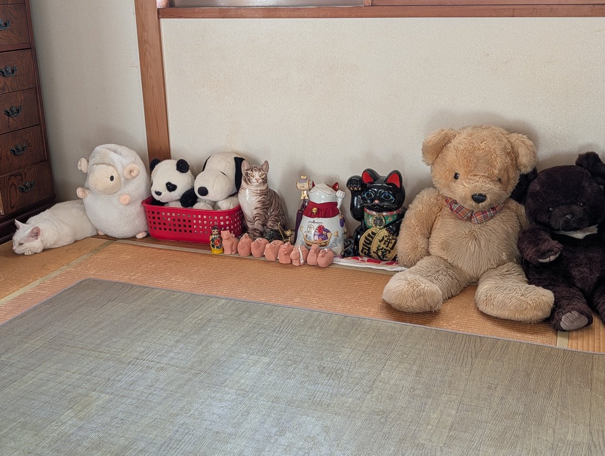 pikako1029's tweet photo. えええええええ
今度は金目白猫さんがまぎれてた
最近青目白猫さんのお気に入りの場所
ずっと狙ってたんやろな

#猫のいる幸せ
#猫のいる暮らし https://t.co/B41hRCcN6I