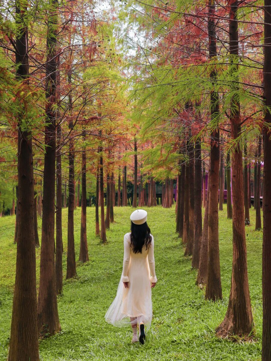 vaughrpar_8_9ef's tweet photo. [The stubborn rival's sudden change made my heart ache with an indefinable pang in the busy autumn days.]， https://t.co/LUF507bhfu