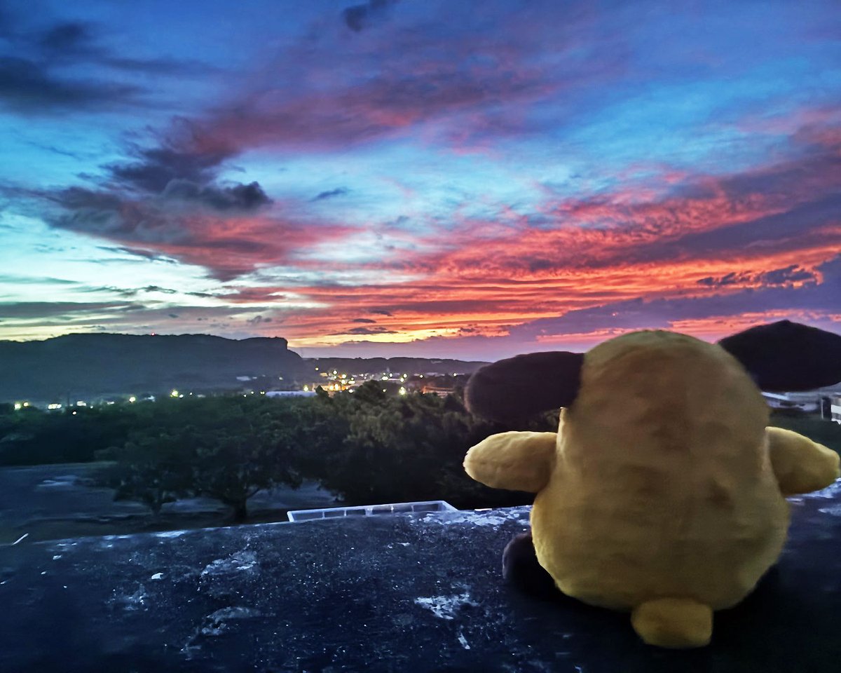 Custom_kun's tweet photo. 【カスタム君】
日本最西端、与那国島。
「申告するものはありますか？」
「夕焼けを、ひとつ。」🌅
…この美しさ、免税範囲を超えてるワン🐾

#カスタムくん　#沖縄地区税関　#日本最西端　#与那国島 https://t.co/sxcyKxanJp