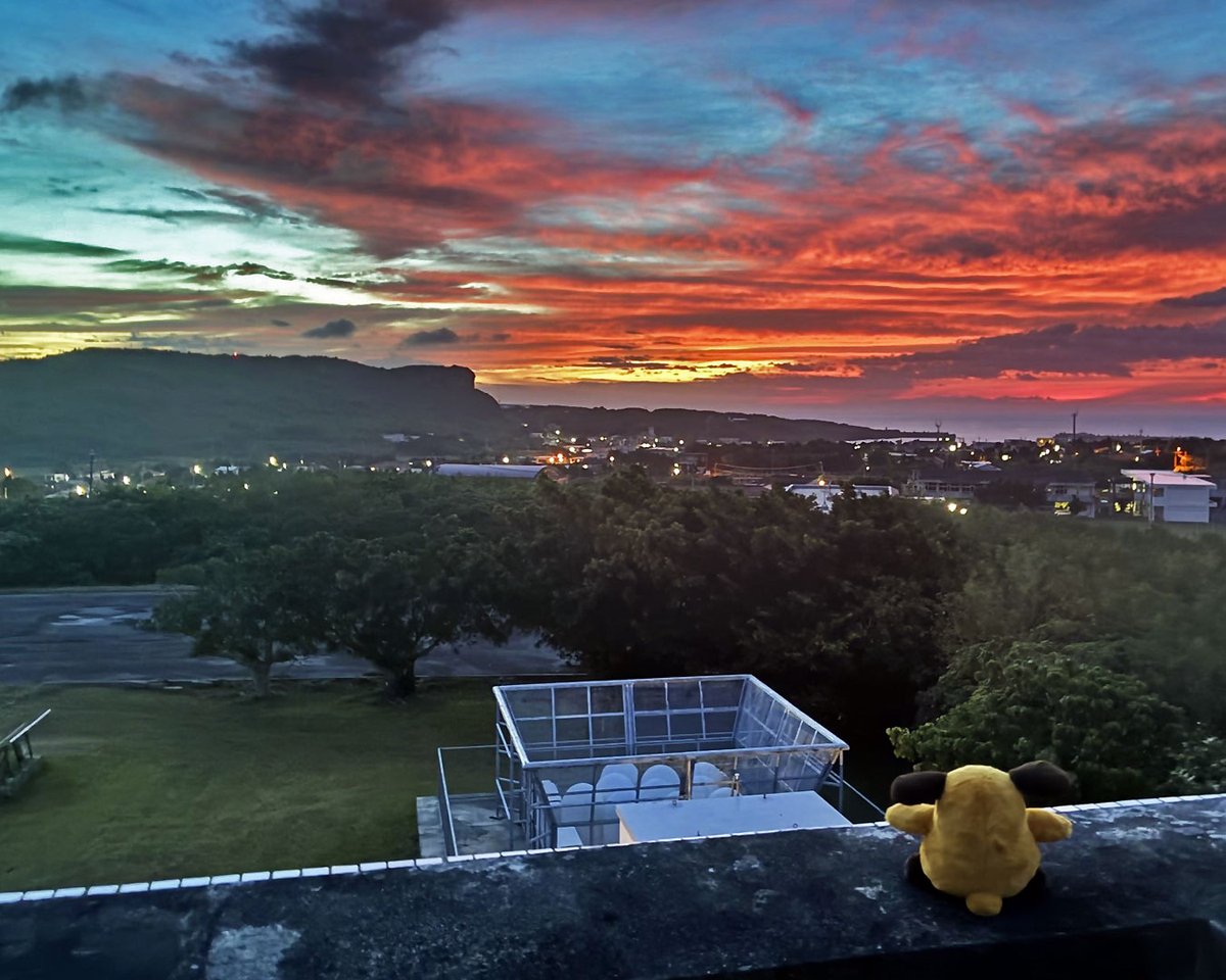 Custom_kun's tweet photo. 【カスタム君】
日本最西端、与那国島。
「申告するものはありますか？」
「夕焼けを、ひとつ。」🌅
…この美しさ、免税範囲を超えてるワン🐾

#カスタムくん　#沖縄地区税関　#日本最西端　#与那国島 https://t.co/sxcyKxanJp