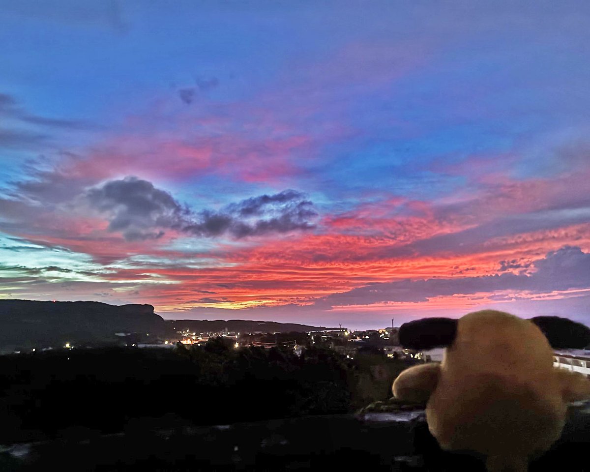 Custom_kun's tweet photo. 【カスタム君】
日本最西端、与那国島。
「申告するものはありますか？」
「夕焼けを、ひとつ。」🌅
…この美しさ、免税範囲を超えてるワン🐾

#カスタムくん　#沖縄地区税関　#日本最西端　#与那国島 https://t.co/sxcyKxanJp