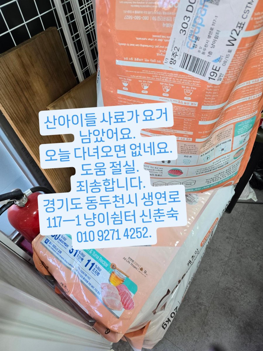 sinchunsug97804's tweet photo. 죄송 합니다.
애들 연명할수 있도록 도움 부탁 드려 봅니다.
오늘 산에 밥주고 오면 사료가
없네요.
모래도 벤토 4포 두부 모래 두포 남았어요.
티슈도 3개 남았어요.
떨어지는데 심난해요.
경기도 동두천시 생연로 117ㅡ1 냥이쉼터 신춘숙 010 9271 4252 도움절실. https://t.co/wKqlSWr6mR