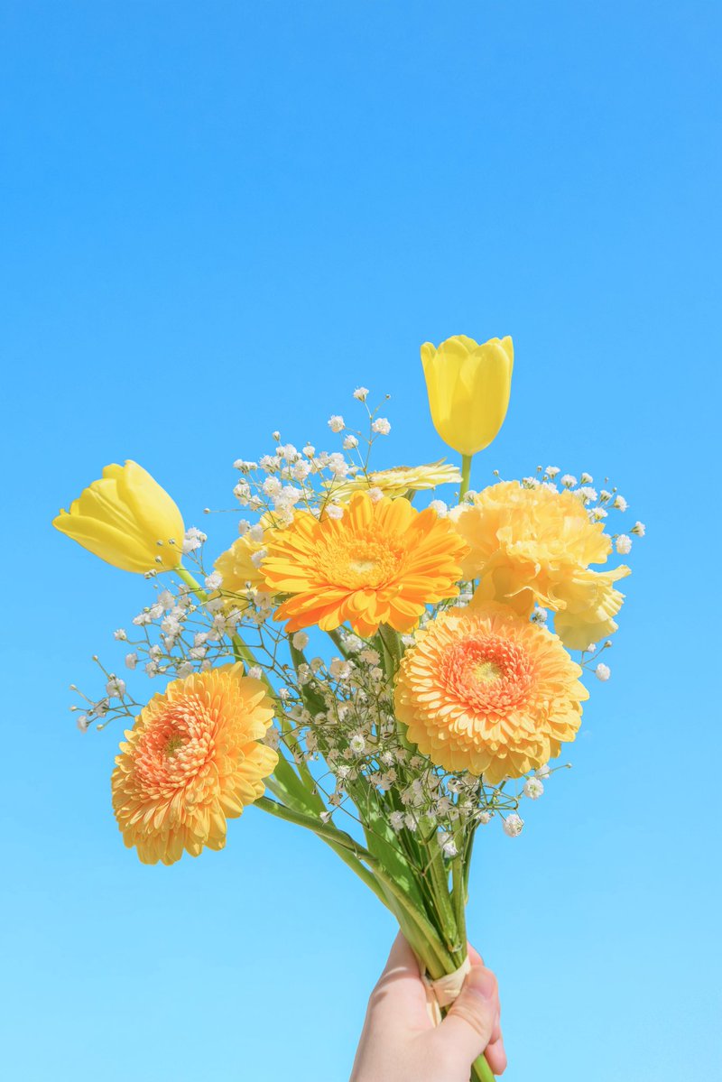 Noah_photobook's tweet photo. お花に癒されたい人に届きますように。 https://t.co/gehma0XYQj