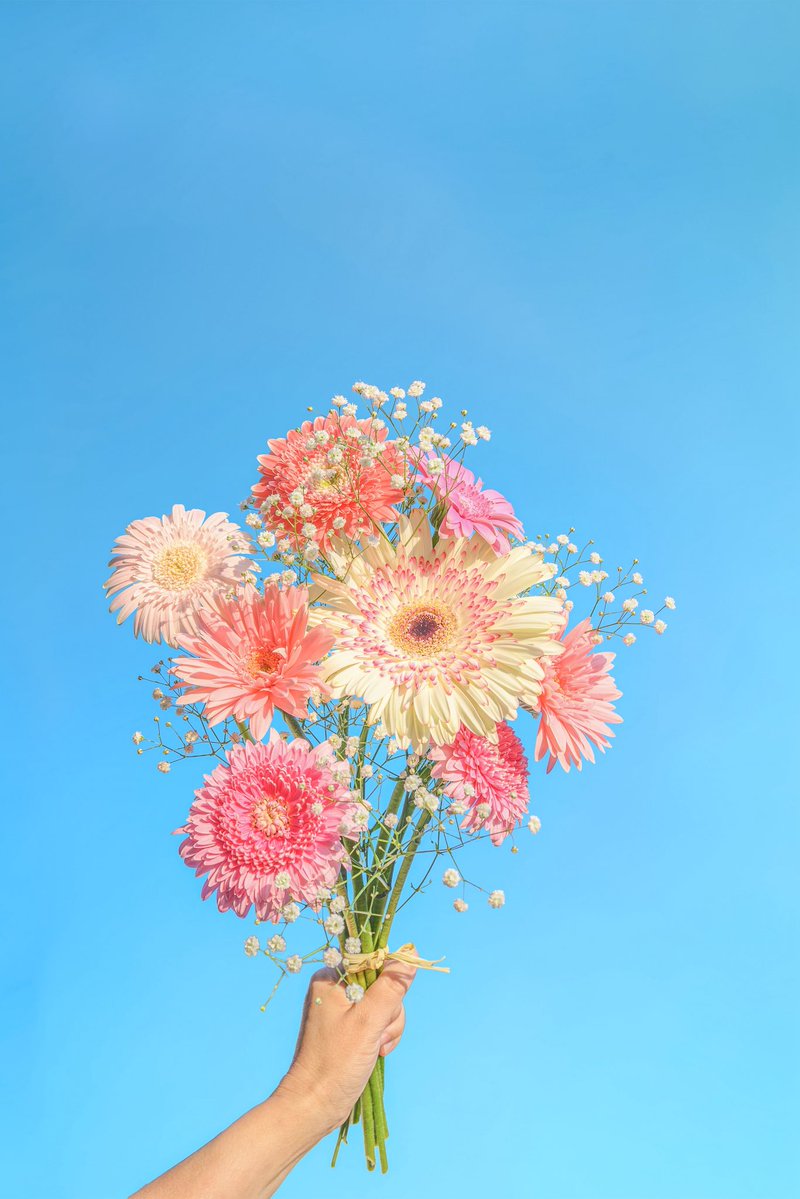 Noah_photobook's tweet photo. お花に癒されたい人に届きますように。 https://t.co/gehma0XYQj