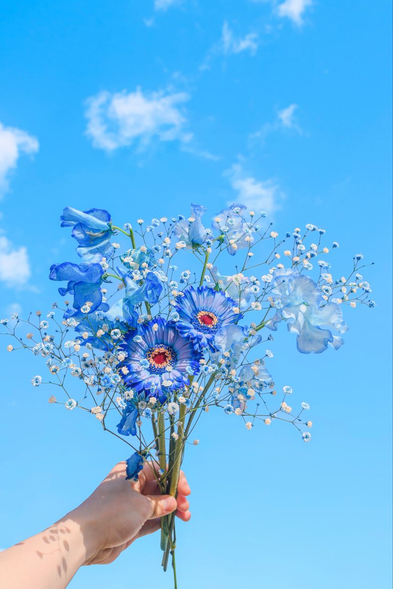 Noah_photobook's tweet photo. お花に癒されたい人に届きますように。 https://t.co/gehma0XYQj