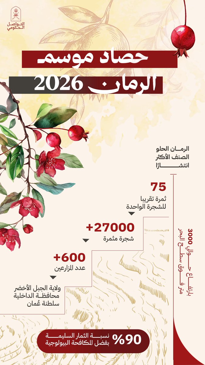 Oman_GC's tweet photo. بجودة عالية، وثمار وفيرة، ينتهي حصاد موسم الرمان لعام 2026 في الجبل الأخضر. 

شكرًا لكل يدٍ سعت، وزرعت، وحصدت. 

#التواصل_الحكومي https://t.co/8n5vOyI5JL