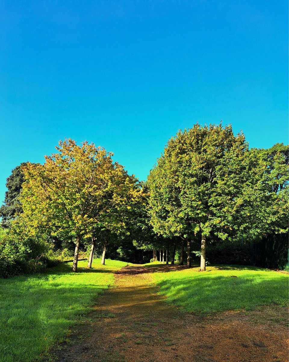 ProvanHall's tweet photo. The beautiful autumn colours are emerging throughout the gardens at Provan Hall. 

We're open Thurs to Sun, 10am - 4pm with free entry. We also have takeaway coffee available in our gift shop so you can keep your hands warm while exploring the gardens and woodland. https://t.co/rx9HiqS2RW