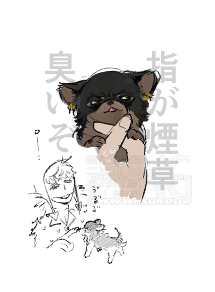 www_sukebe's tweet photo. inu https://t.co/USYNKzVyJ7