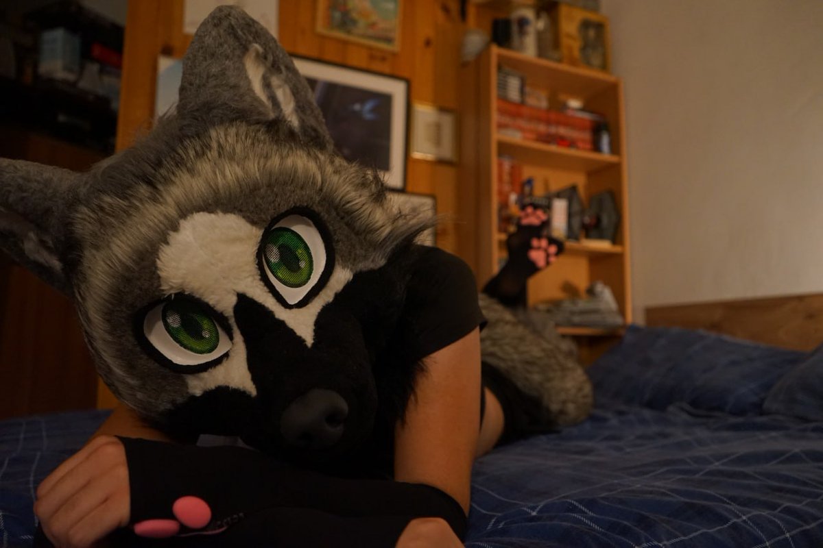 lupo_rufus's tweet photo. Maw or paws? :3 🐾🐺🩷

📸: @TeoTheDerg 

Tags: #Fursuit #Furry #Cute #Femboy #wildfurs #suggestive #paws #feet #feetfetısh #wolf #furrywolf #greywolf #muzzle #warmers #furryfemboy #pawpads #kink #croptop #bed #Rain #Rain_3d #Lupetto https://t.co/6JdqSXzbmQ