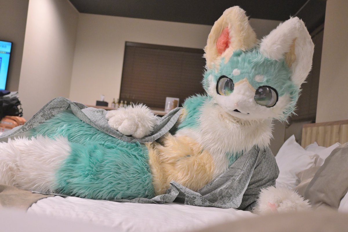neos_moff's tweet photo. #FursuitFriday 
#FursuitsFriday 
浴衣はだけちゃった…😳

📷@HosiNado https://t.co/yB3fPHffhM