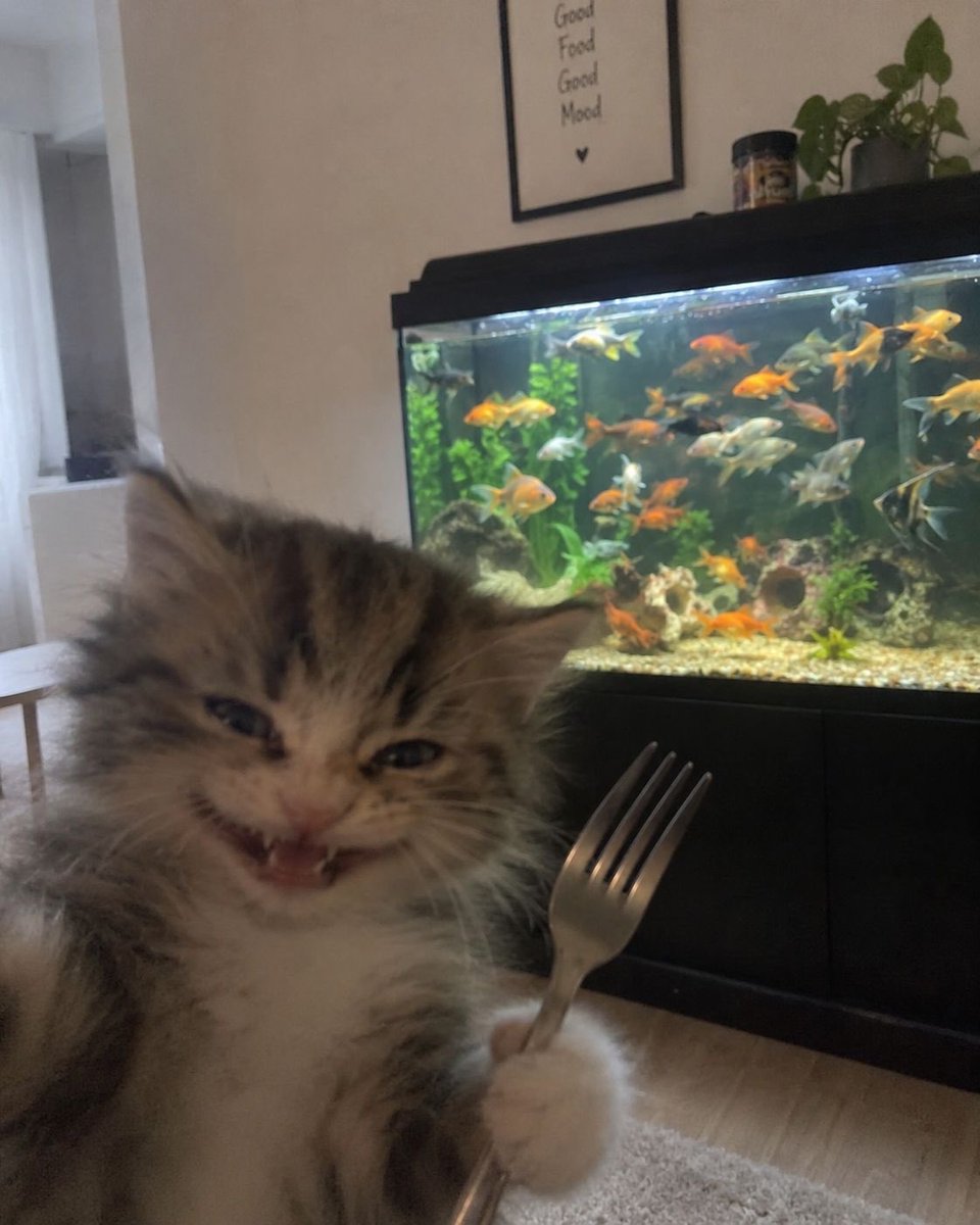 _numanuk's tweet photo. dinner 🍴 🐠 https://t.co/TJd7c2AsAf