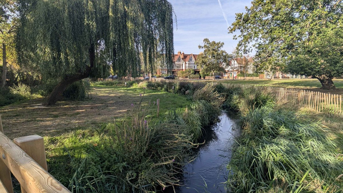 LBRUT's tweet photo. Noticed anything different about Barnes Green? 🪻

The Beverley Brook is now bursting with healthy new wildlife habitats, new trees and new flowers after river restoration work to boost flood resilience in the area!

Learn more about the project ⬇️
https://t.co/C1lRElxAG8 https://t.co/P4S1N7urjw