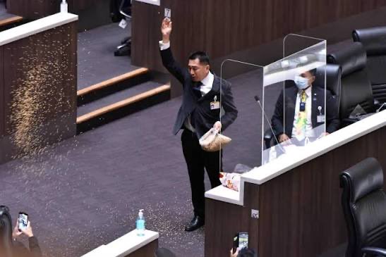 peepi_pillow's tweet photo. โปรยข้าวในสภา พรรคพี่ก็ทำมาแล้วน้อง https://t.co/M9sW4SacHY