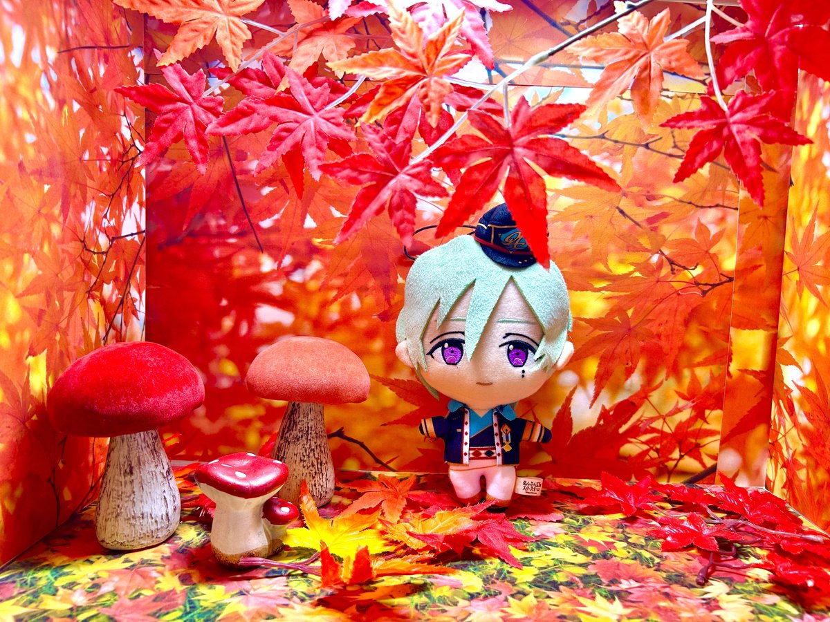 supicatan_tan's tweet photo. 秋のたつぬい🍁 https://t.co/kPswKEWOoY