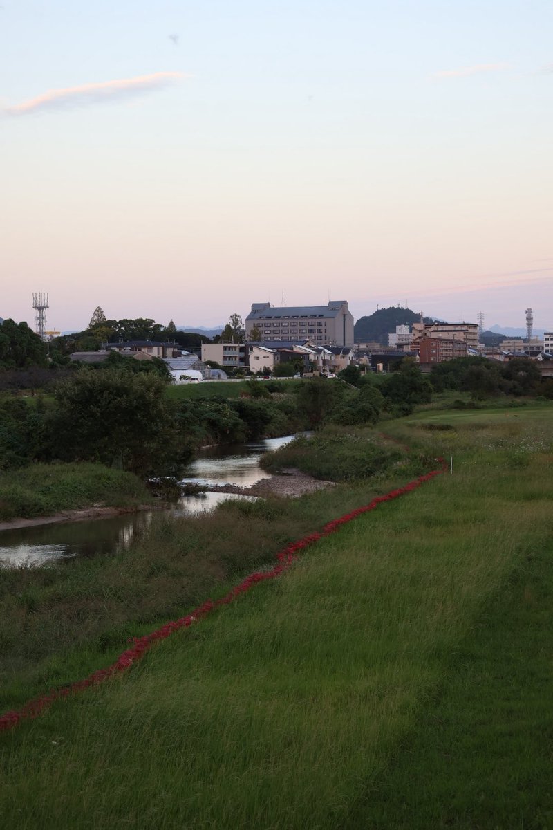 _nanaphotograph's tweet photo. https://t.co/BfHRcW0JZ5