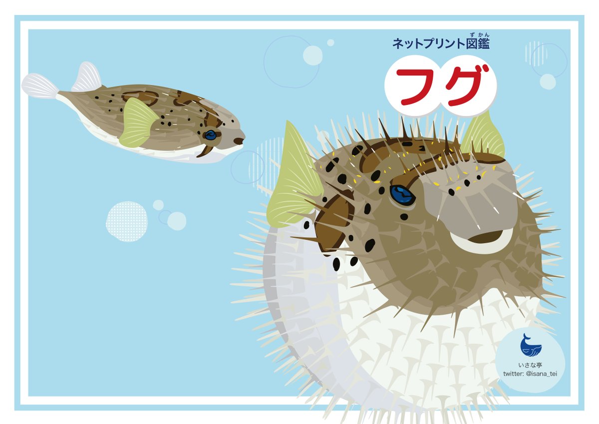isana_tei's tweet photo. 【再配布】合わせてフグ図鑑を再配布します！こちらも10/10の18時頃までプリントできるので、よろしくお願いします！
ユーザー番号【8XTKWH272A】 https://t.co/PWdKMgqU3V
