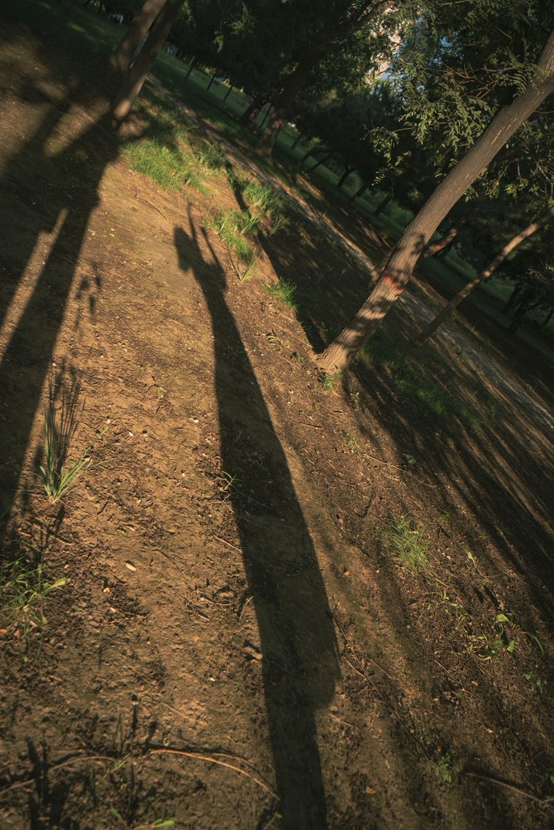 si9u4ilkycovo4s's tweet photo. In the park, I stared at the sticky rubber band swaying in the breeze, dazed and in a trance as if a sneaky overlord was hiding in the sunlight. https://t.co/325hm2cV7N