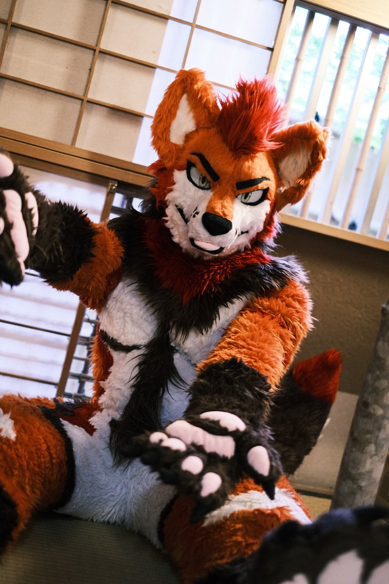 Lugua_sumatran's tweet photo. HEY! You made it! 🐾
Come play with me!! ✨ https://t.co/4xLoUwgOAy