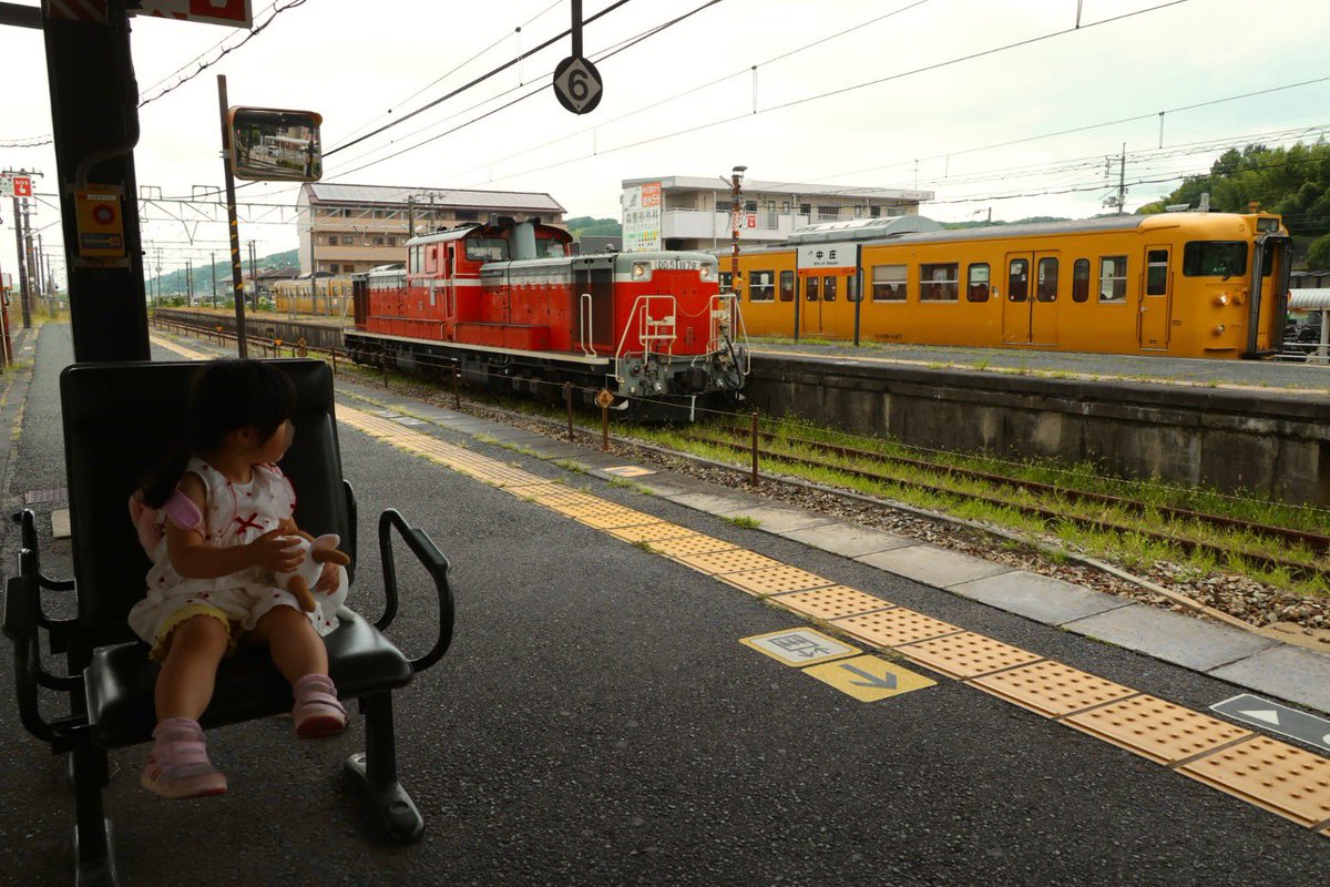 DDnaniwa tweet picture
