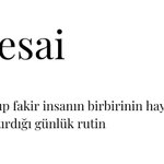 Photo by Gökçe (@ehsizibe)