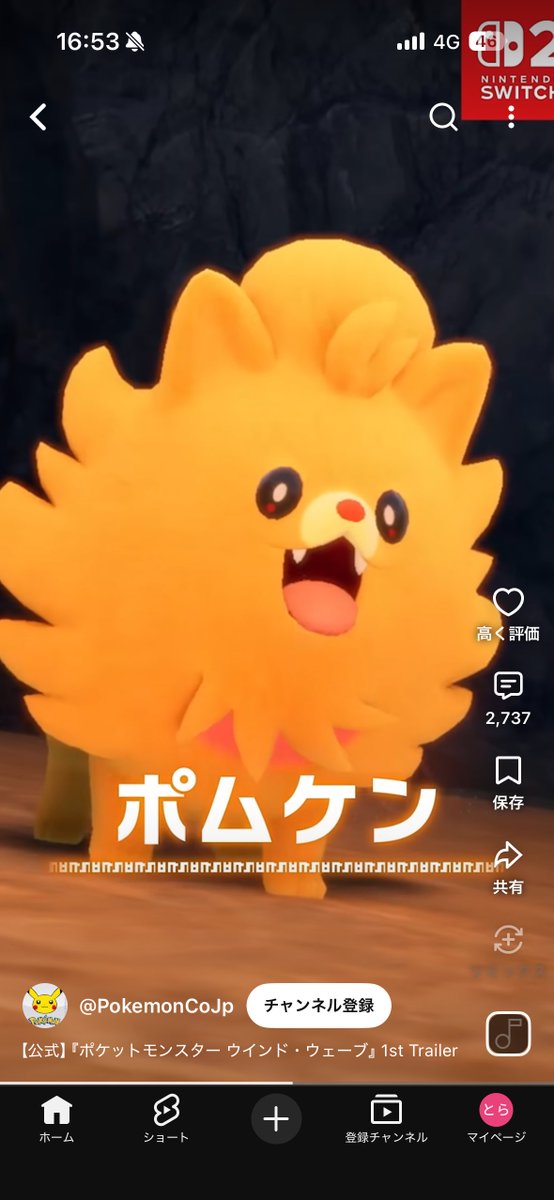 ojiiiiiobaaaaa's tweet photo. ミオリー一択 https://t.co/ddBdLu9wcV