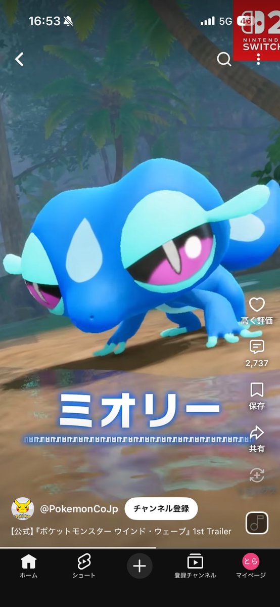 ojiiiiiobaaaaa's tweet photo. ミオリー一択 https://t.co/ddBdLu9wcV