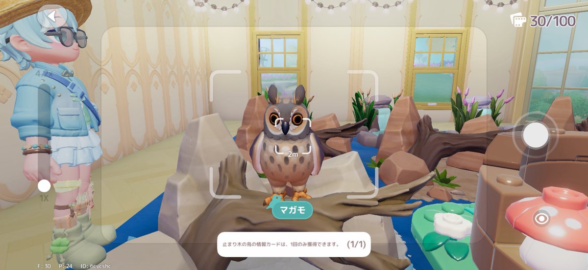 paru_hs's tweet photo. あ。ミミズク？撮ってるはずなのにマガモの写真 https://t.co/Hbttu7N6l8