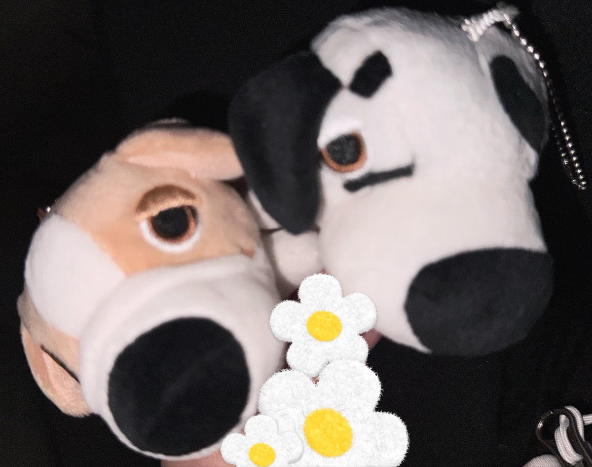 taro_ch3's tweet photo. THEDOG好き民なのでコンプしたかったんですけど500円だし3個目で被ったので一旦やめました。交換見つかるかなかわい子ちゃんたち🐶🐶 https://t.co/wnoYPm85pz