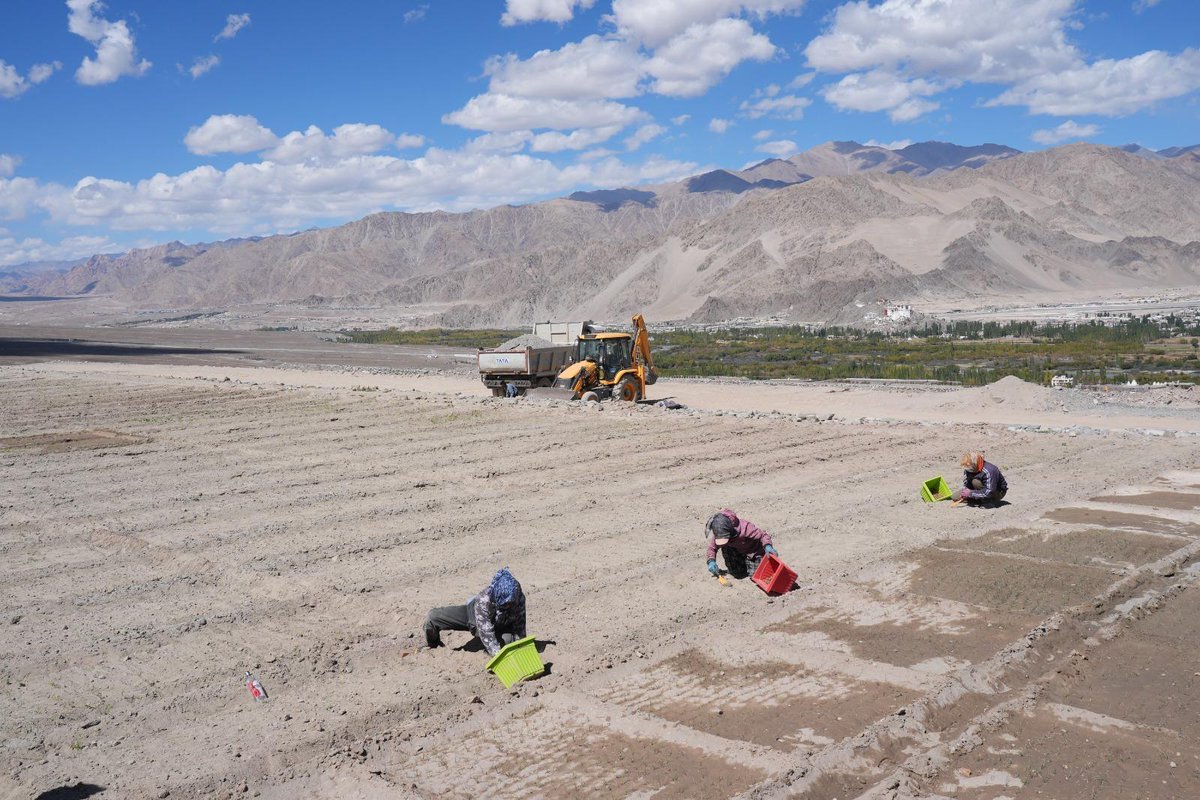 Ladakh_Updates's tweet photo. Vision in action by @lg_ladakh: Saffron pilot powered by restored Igoo, Phey canal &amp; 24 million litres of water storage under Project Him Sarovar. Channeling excess water into new livelihoods. 

#WaterSecurity #LadakhDevelopment https://t.co/FzZPL15ffl