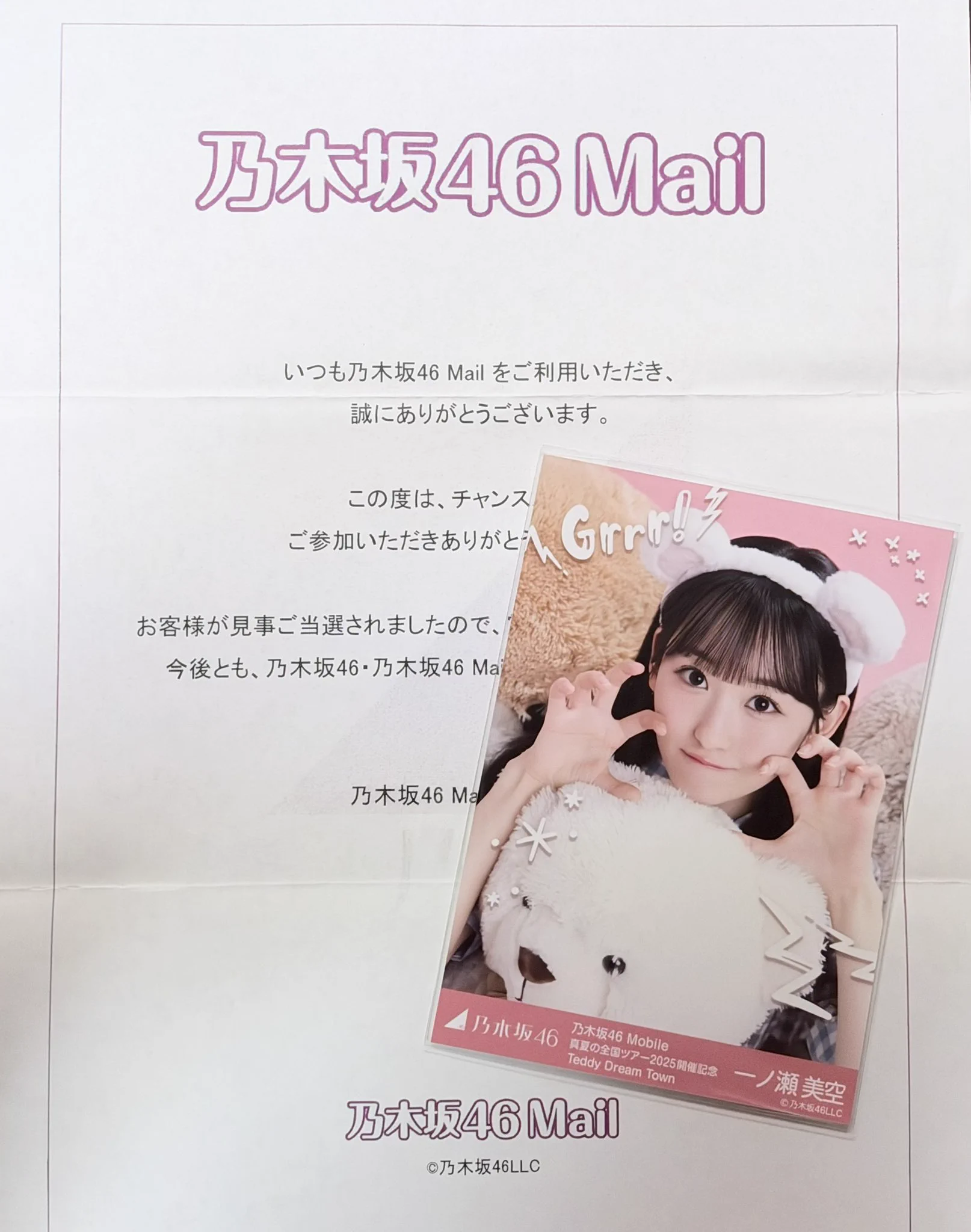愛知のくまさん on X: 