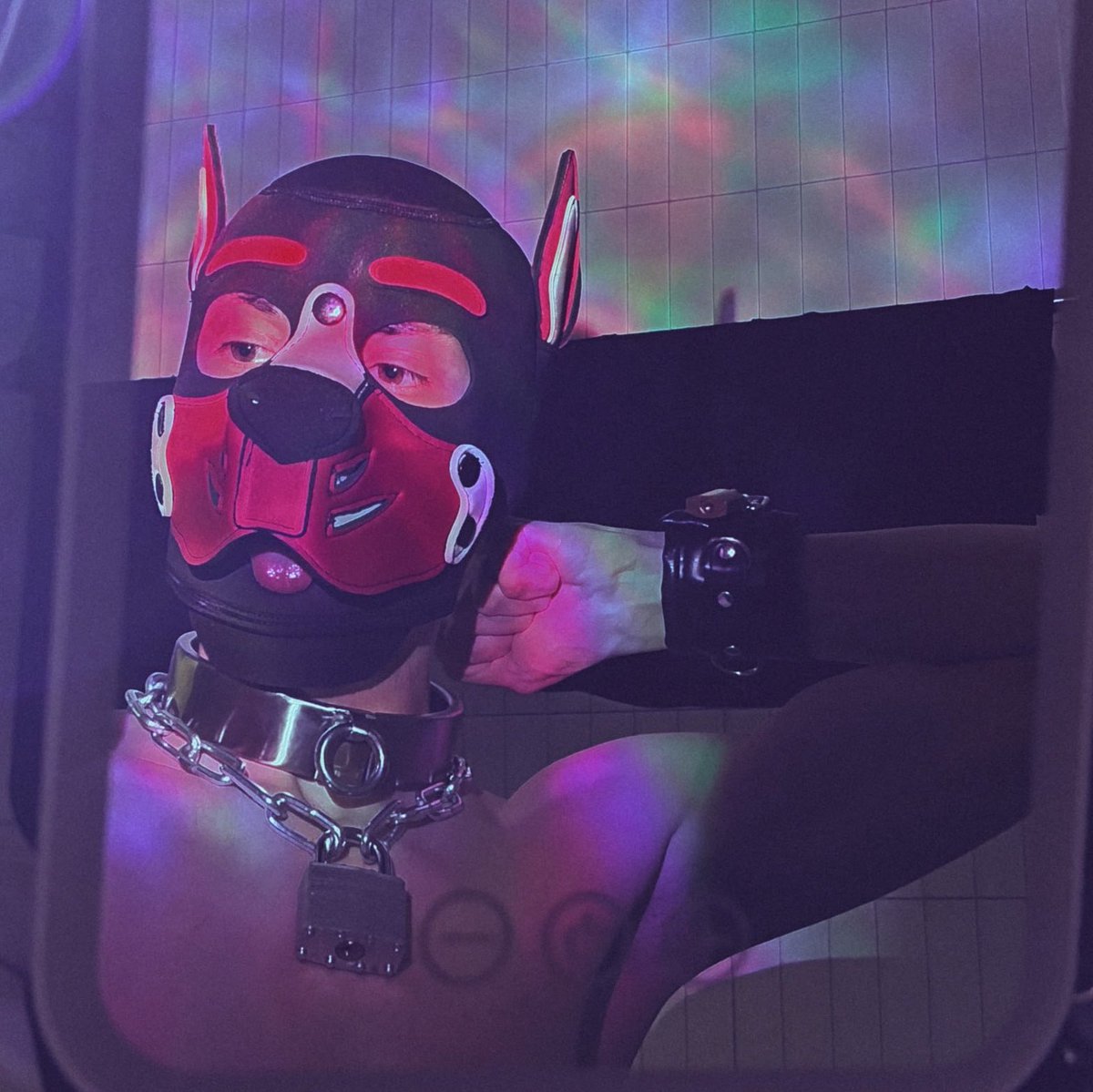 OopsPuppy2's tweet photo. new metal collar 🔒
locktober 2/31, take the keys? 🔑
#chastity #slave #bdsm #puppyplay #twink #gay https://t.co/LV4wfmfVmb